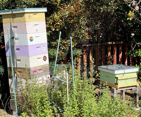 Preparing Your Hive for Winter Beekeeping Class August 3 & 10, 6:30pm-8 pm Zoom