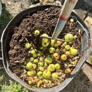 Hands-On Compost Class with Velveteen Bean, Sept 13, 11am-12pm